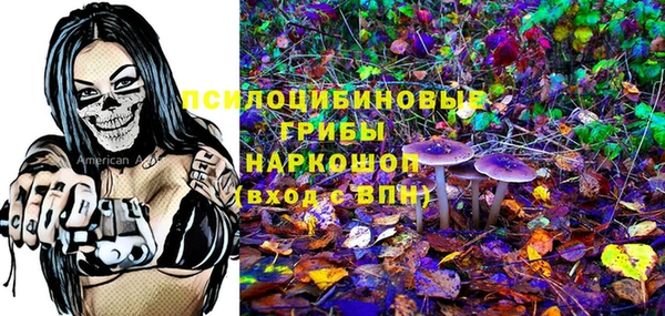 бутират Алексеевка