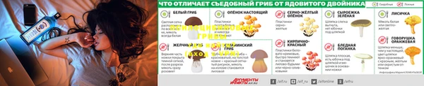 гидропоника Алексин
